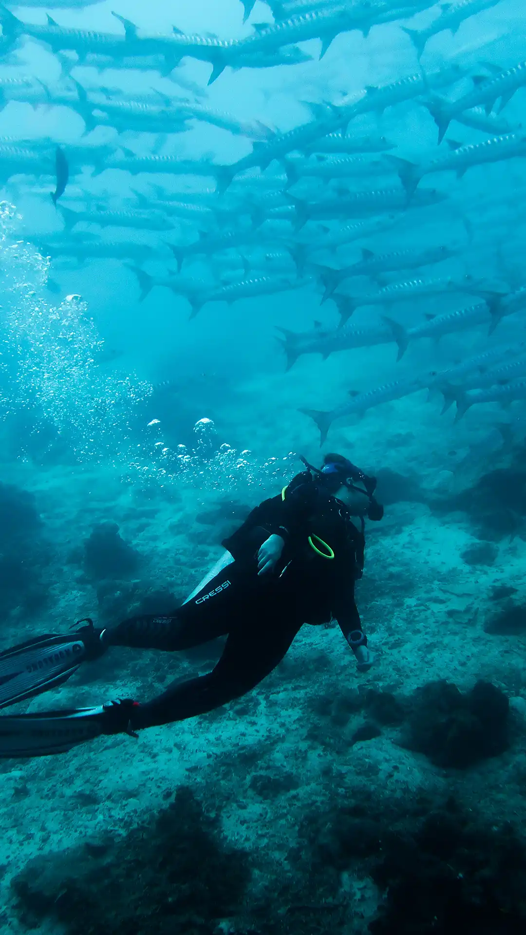 An image of Matahari Divers team in Perhentian Island